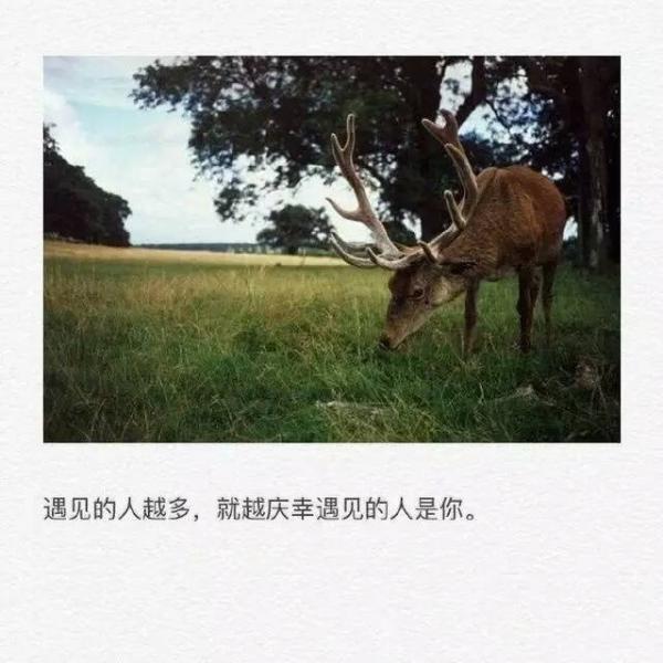 郭敬明经典语录 合理家会武术，神仙都挡不住