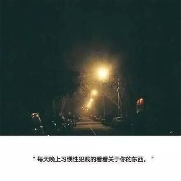 父母的爱 我们的感悟
