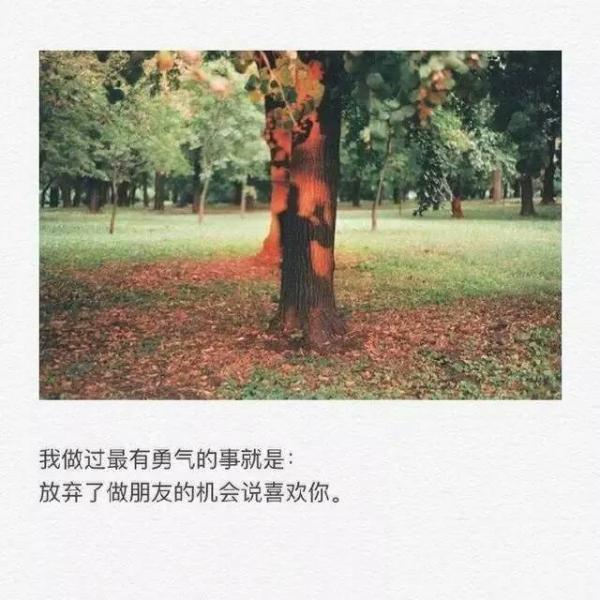 虫子列车