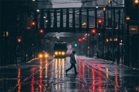 狗的暗示
