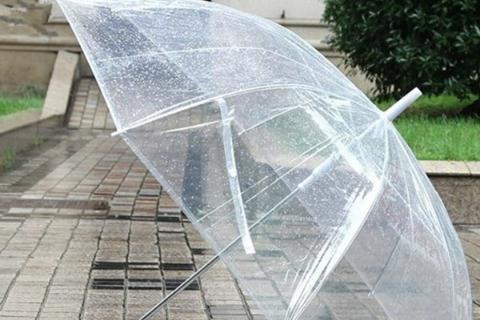 安东尼经典语录、兔子安东尼经典语录语句