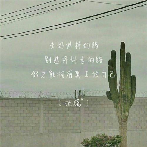 裤衩掉色