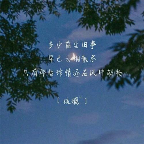 三毛经典语录收集
