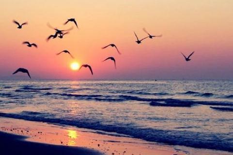 不是所有的伤口，都能用纸掩盖掉的。