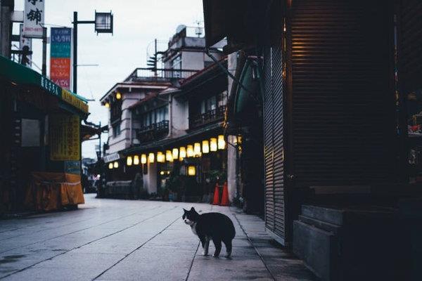 孽缘之谁为谁而死