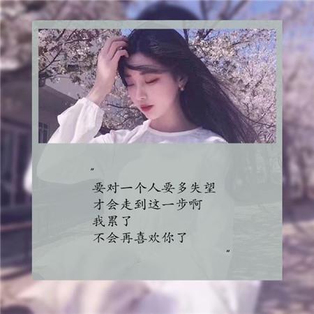 三毛经典语录收集
