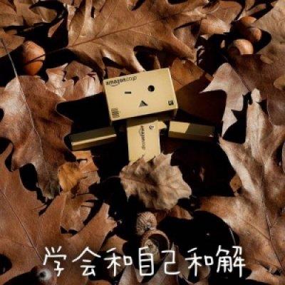 漂泊如风