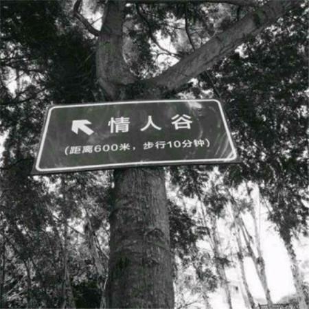 燃烬生命