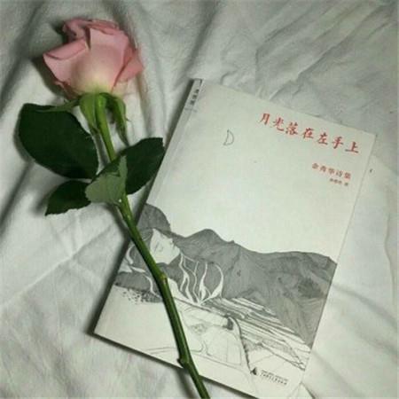 “那你就害我吧”，最动人的情话