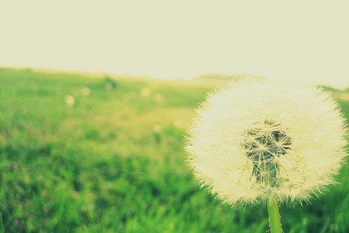 你爱的男人心里有没有你 这些细节是不会骗人