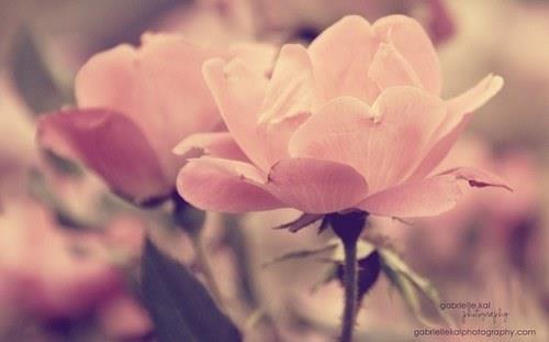 电影经典语录大全，电影经典语句，电影中的经典句子