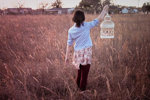 相遇总是猝不及防 ，离别多是蓄谋已久。