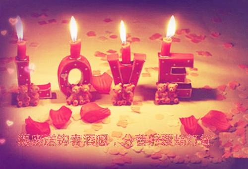 美丽之花
