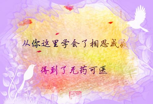 365个职业灵异故事：小说作家