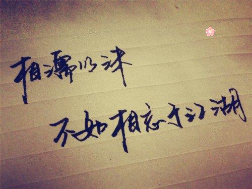 一辈子太短，遗憾却太多