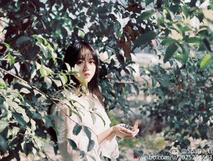 婚姻恋爱