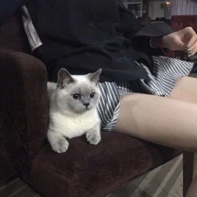 我为老公找一个美女生孩子