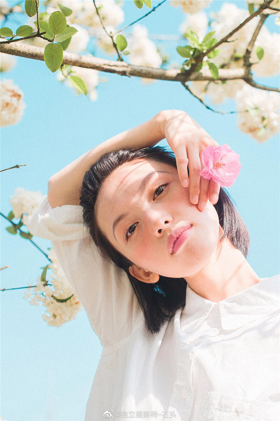 醉美红颜,为你谱写一曲红尘恋歌