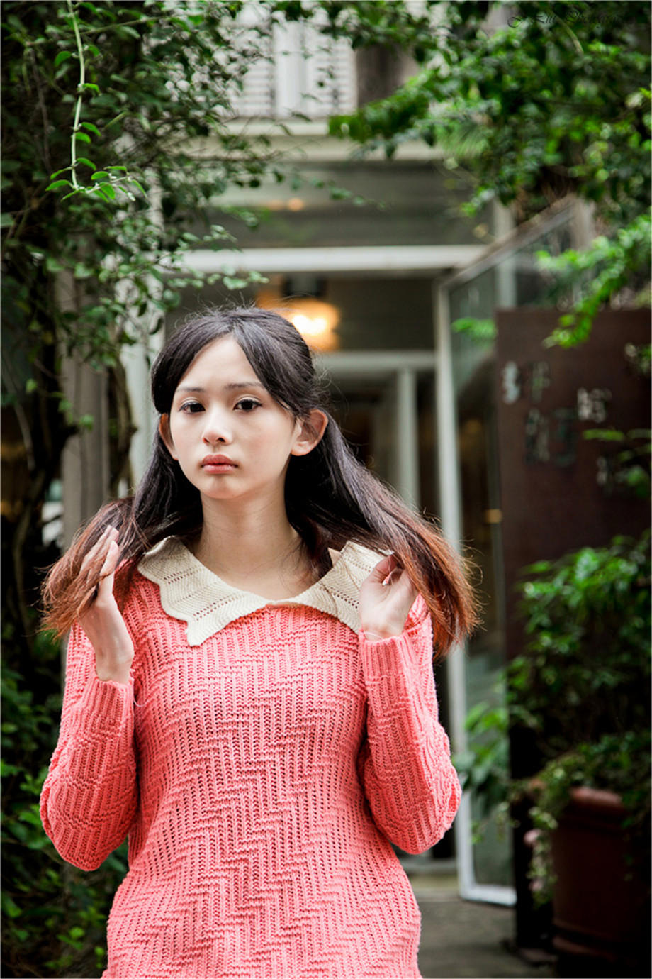 虫儿飞