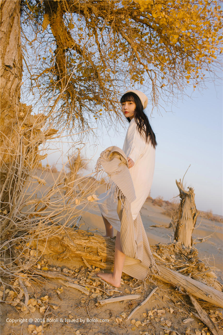 迈向幸福的九级台阶