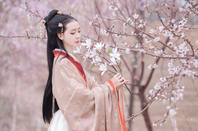 新婚姻法2022全文？