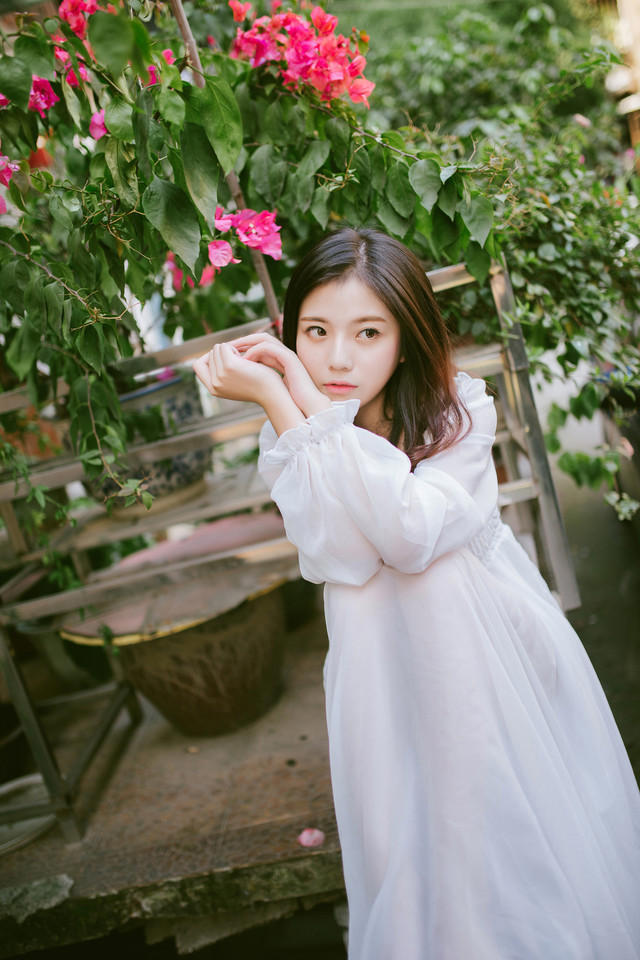 胡歌演的我的26岁女房客有几集?