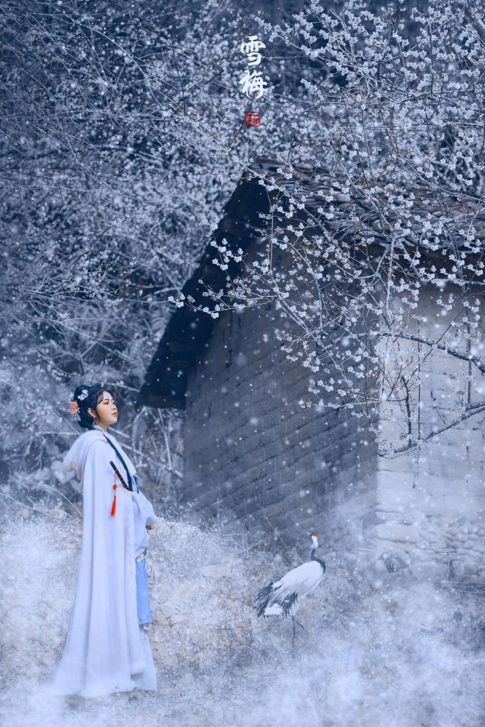 婆婆，谢谢你给我的爱