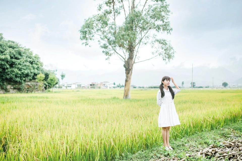 渴望宅,期望宅