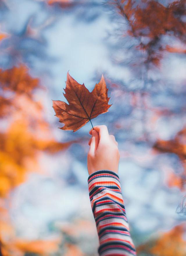 娶回家的老婆给我生下老板的娃