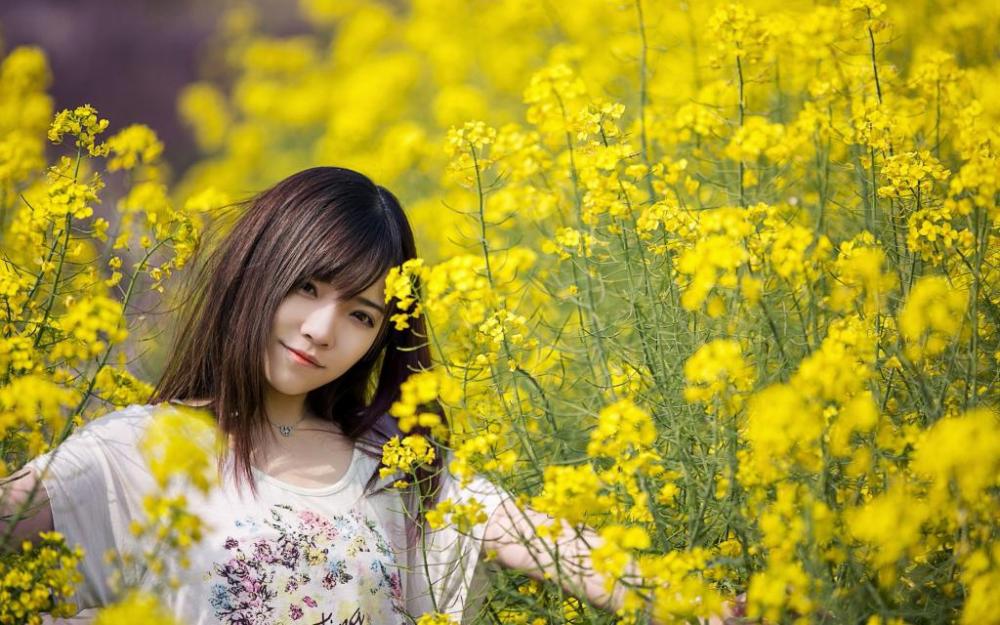 飘落红尘笑如烟