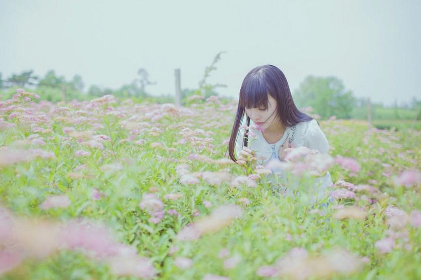 贺龙、林彪结怨始末_历史故事