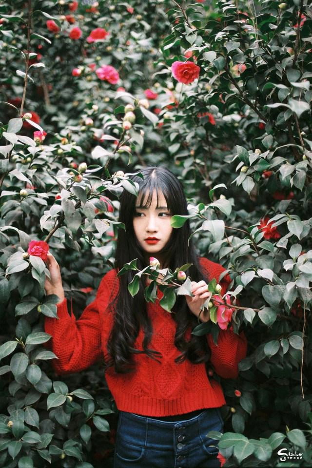 我爱上了补习学生的母亲