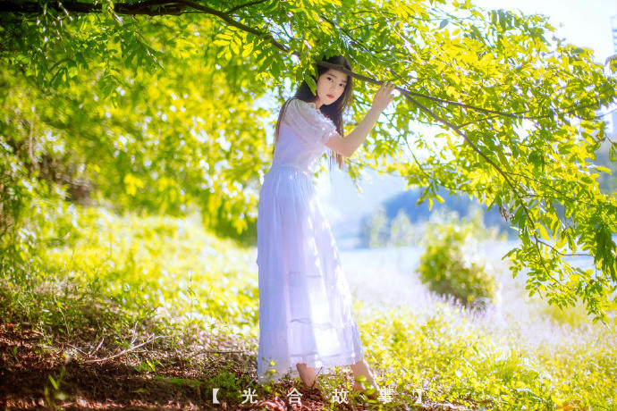 没有爱情的婚姻