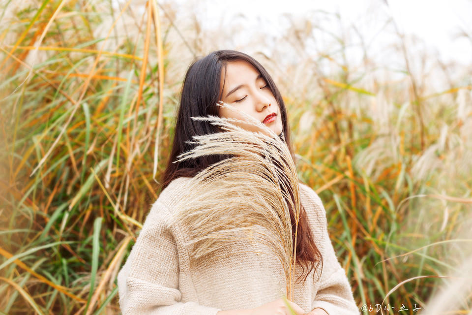 蝴蝶之吻——与父亲之间那相互的四年，虽然遥远，却是那样的真切