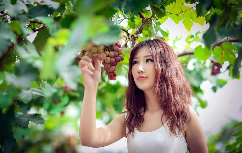 “私奔”和“情书”