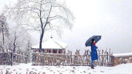 妈妈的宾馆恶噩梦 妈妈下夜班水蜜桃网