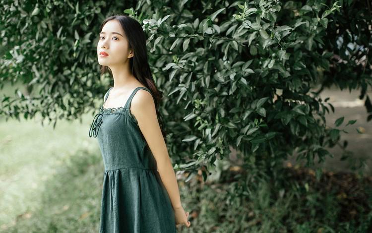 一曲红尘，几经轮回