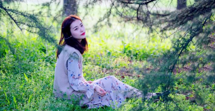 花儿吸引蜜蜂，粪便吸引苍蝇