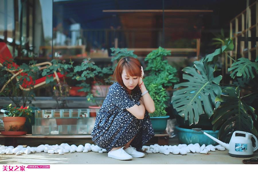 落花，散了一地