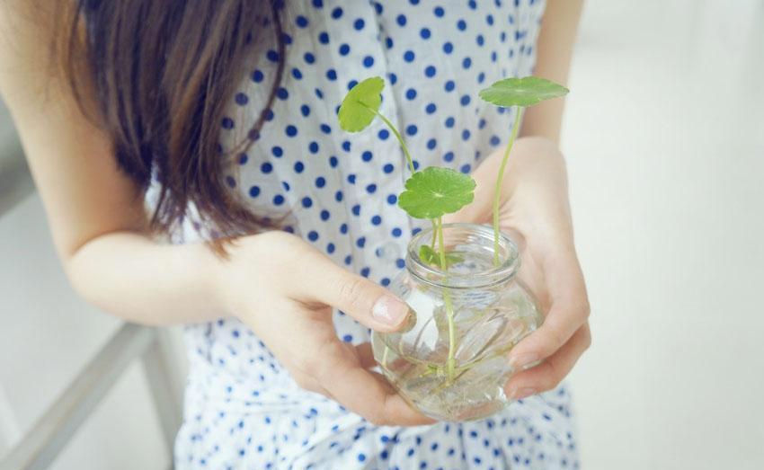 关于爱情的说说带图片