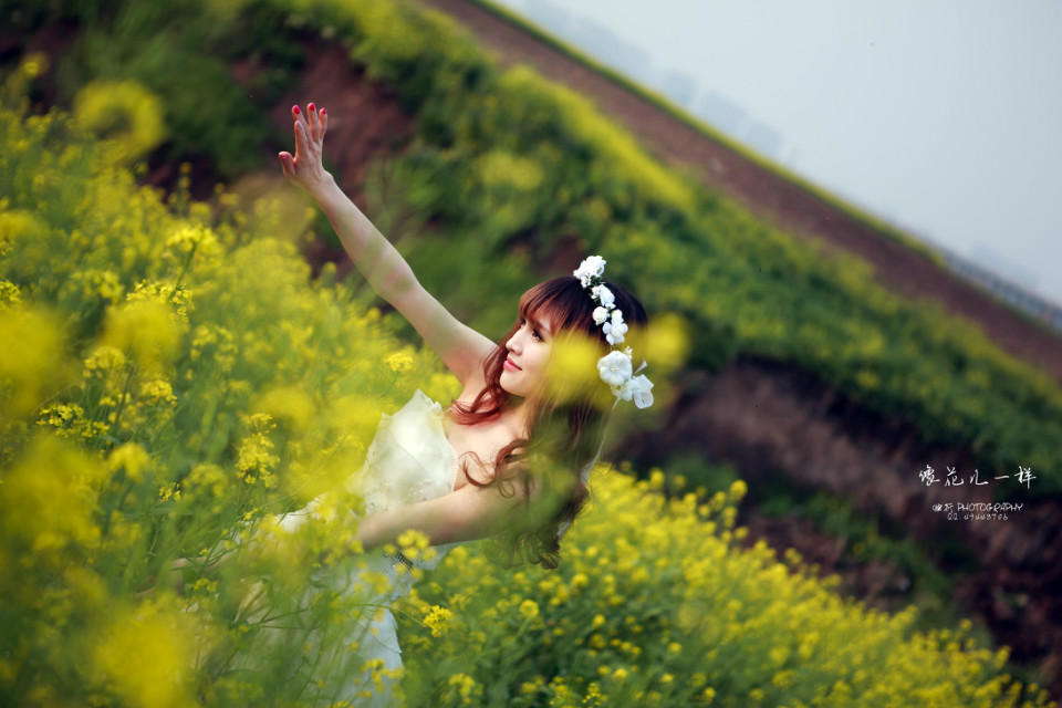 蔷薇花下的流年